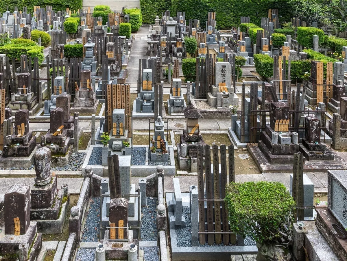 知恩院（京都・東山区）周辺の仏教寺院墓地——石塔の間に白木の卒塔婆が林立する