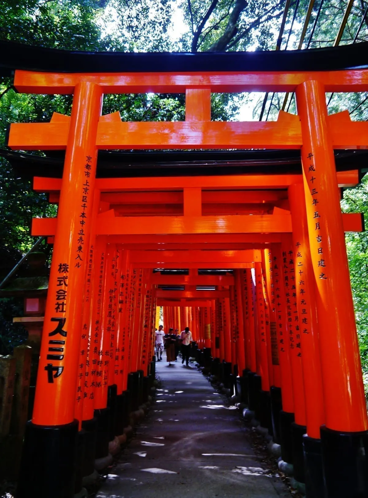 The Senbon Torii path at Fushimi Inari-taisha in Kyoto