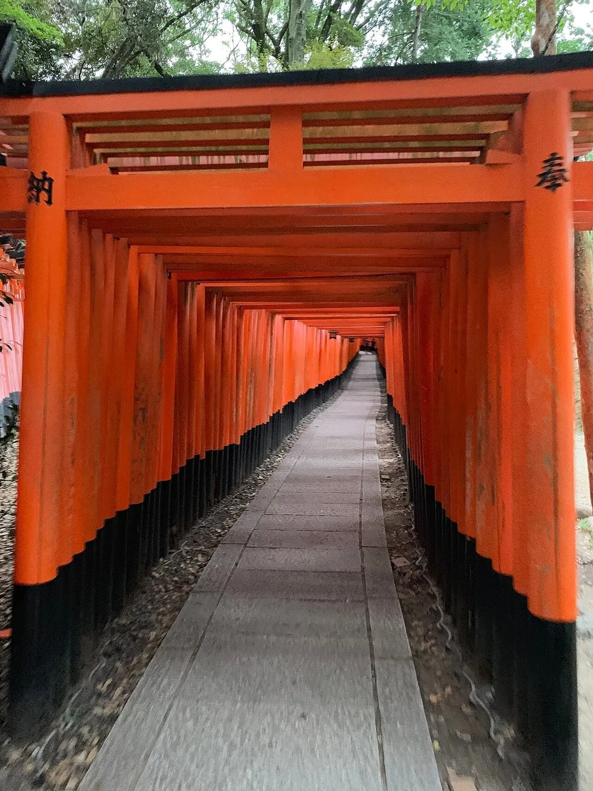 伏見稲荷大社の千本鳥居。朱色の鳥居が連なる