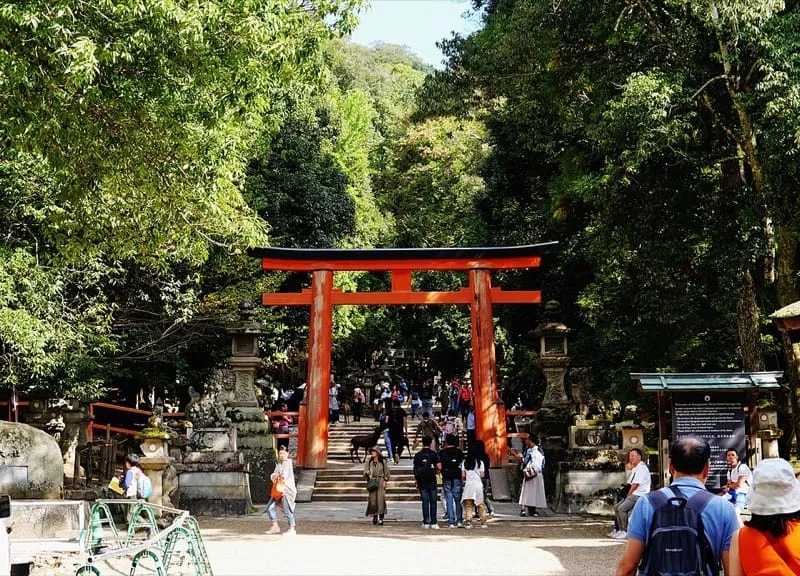 The Second Torii of Kasuga Taisha in Nara — a classic myōjin torii with curved kasagi ends sweeping upward