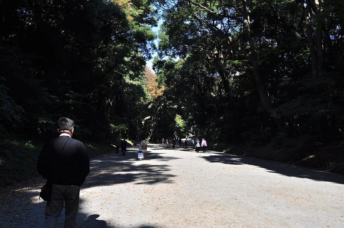 Tree-lined approach path to Meiji Shrine