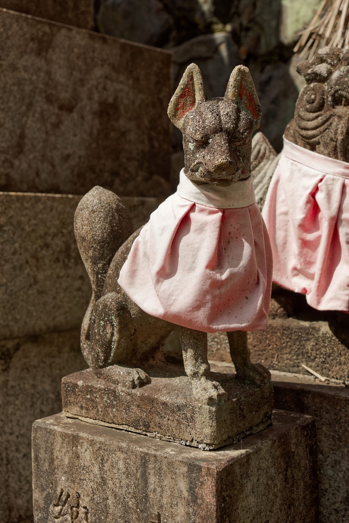 Sacred Animal Messengers at Japanese Shrines | A Guide to Shinshi