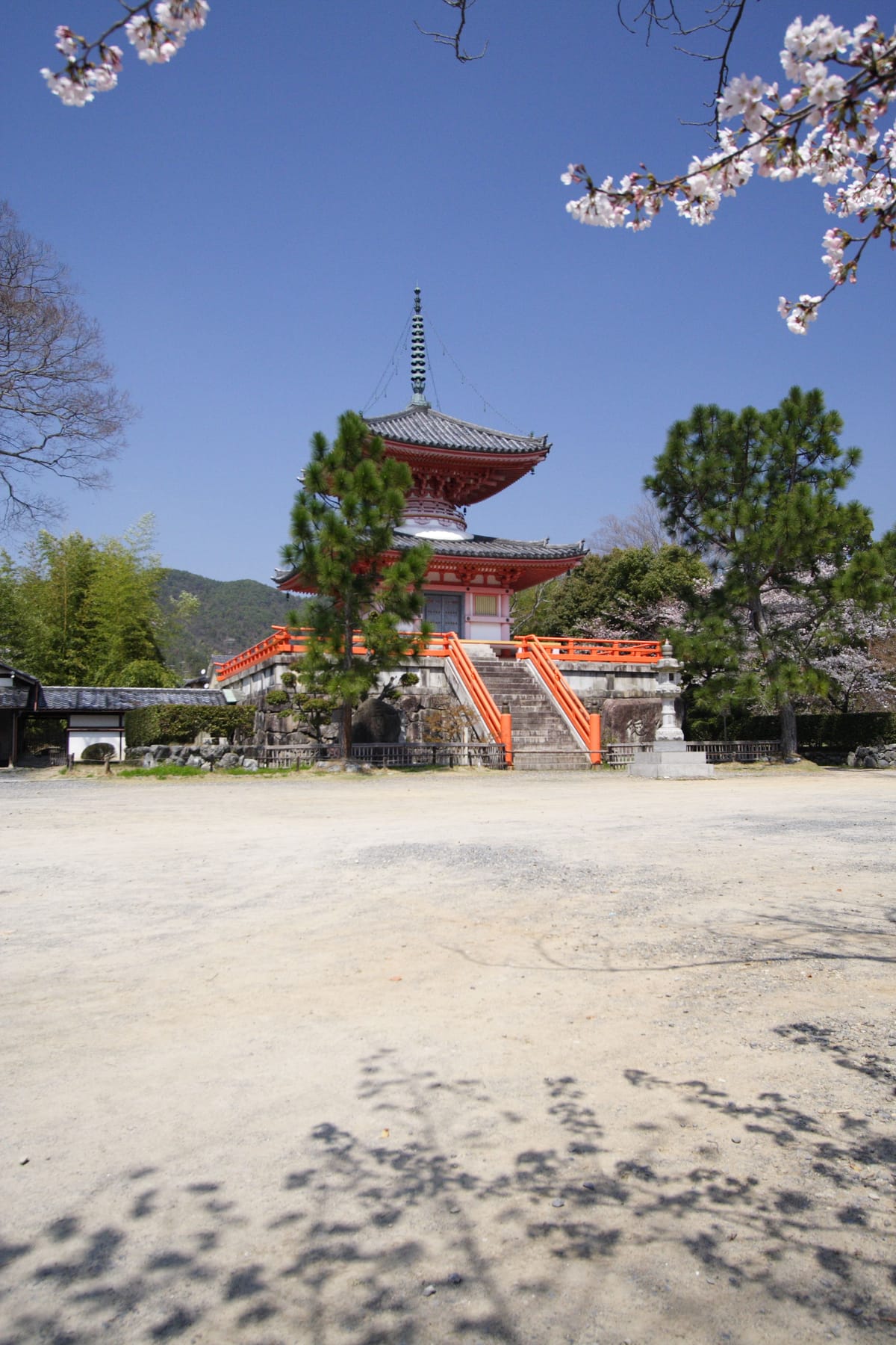 大覚寺、寺号勅許1150年──嵯峨天皇の離宮から始まった門跡寺院の記念限定御朱印