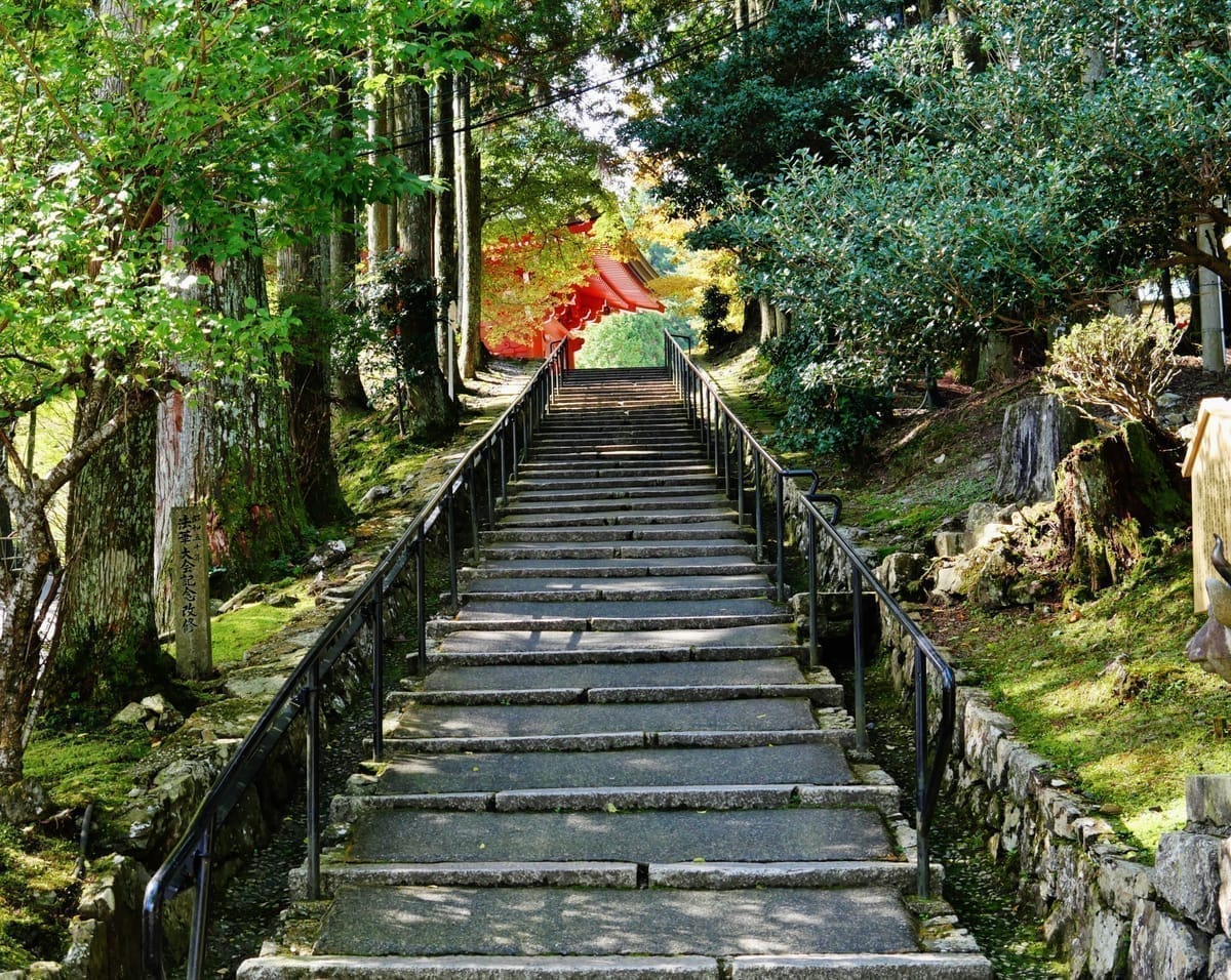比叡山延暦寺と千日回峰行──夏の山道を歩く「生き仏」と1200年の不滅の法灯のサムネイル