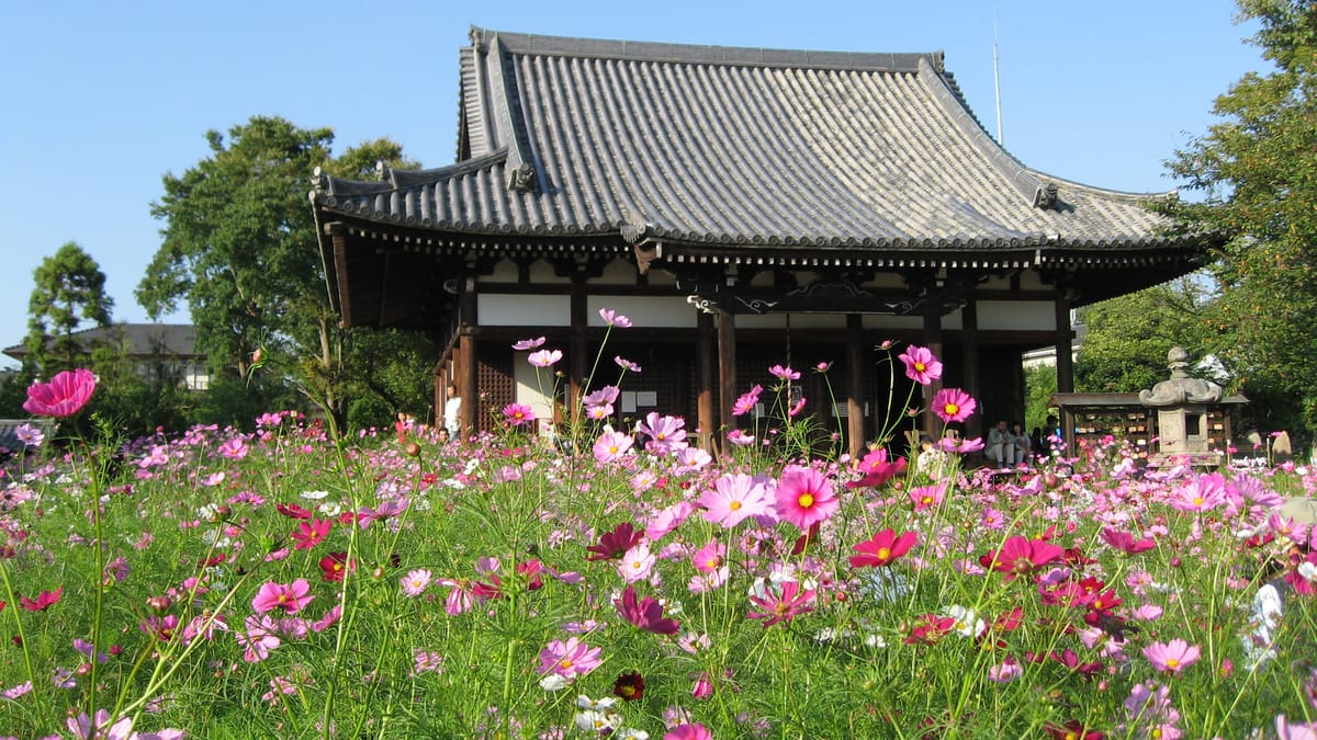 奈良「コスモス寺」般若寺の9月——国宝楼門と15万本の秋と御朱印