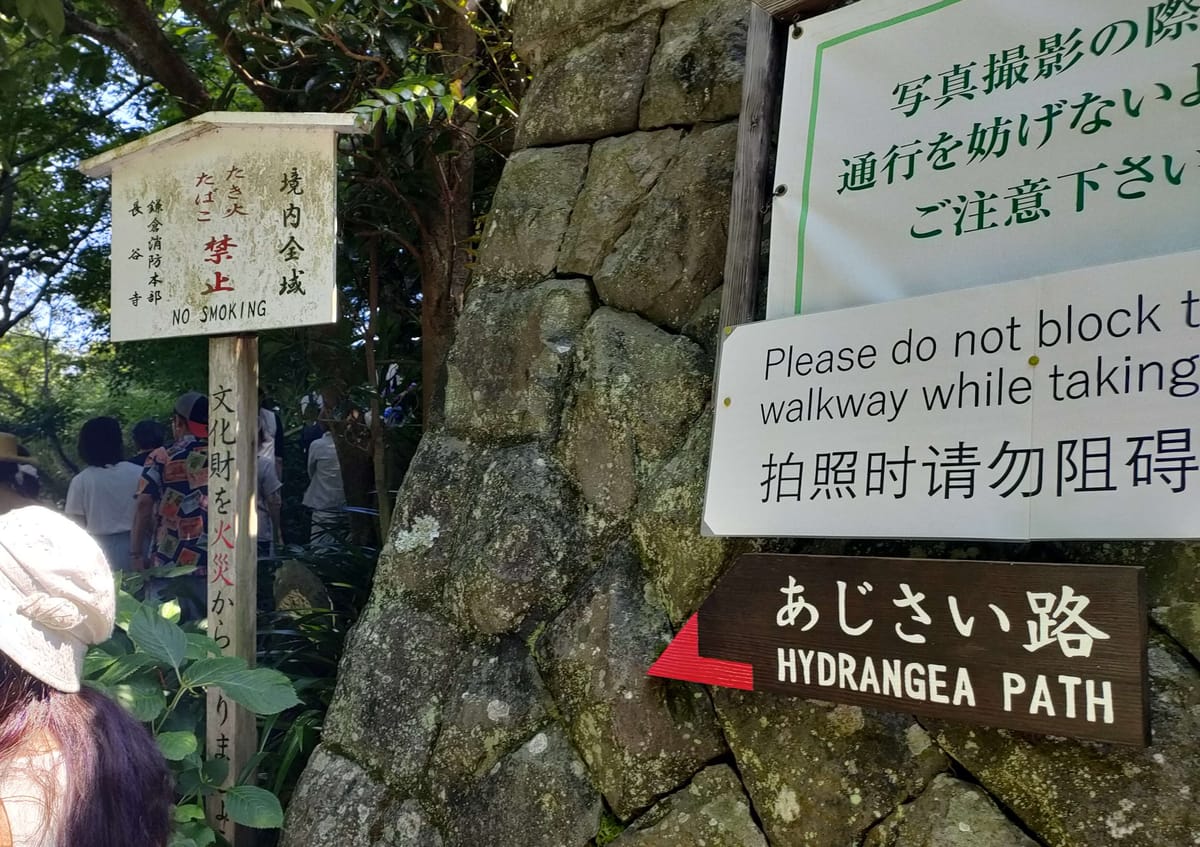 長谷寺(鎌倉)あじさいと限定御朱印2026──2500株の斜面と、予約制になった理由