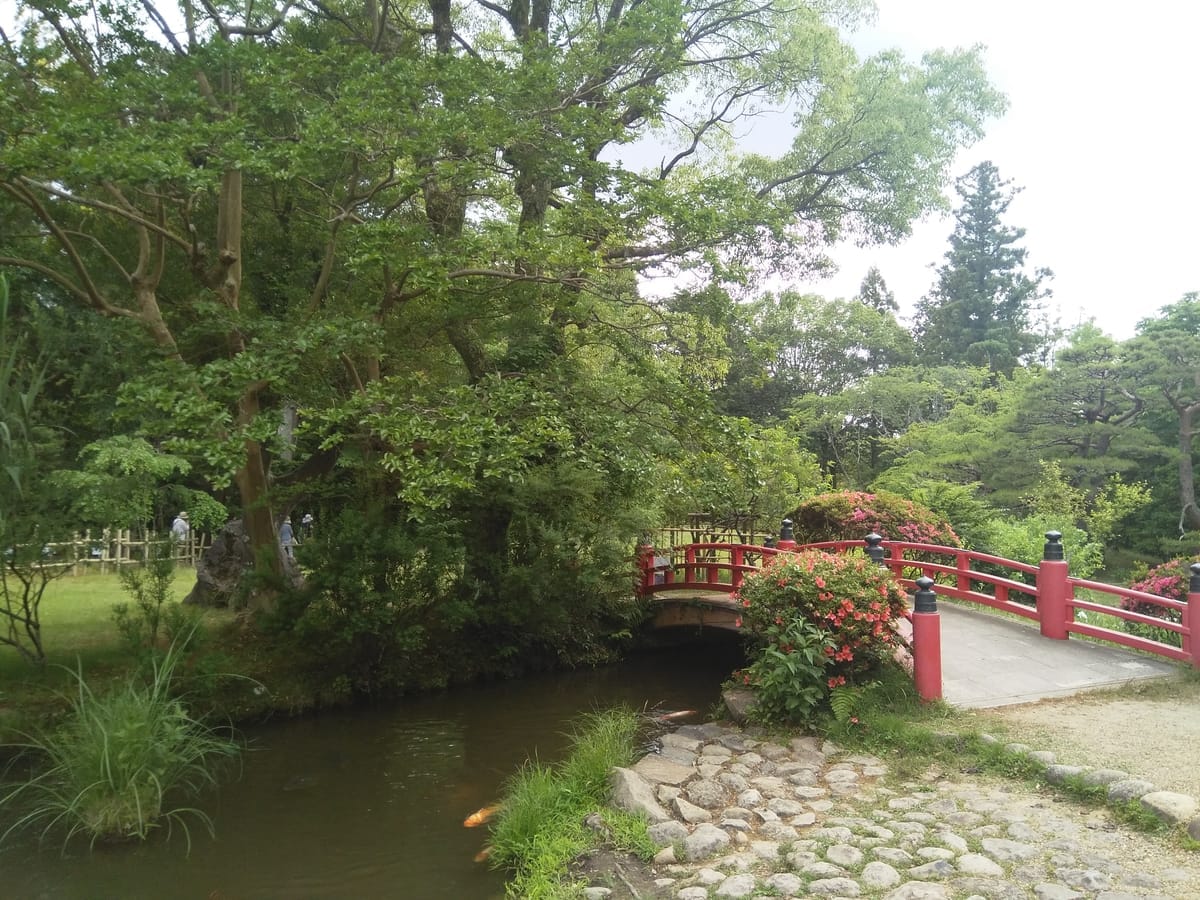 春日大社 万葉植物園 藤まつり2026｜20種200本の藤と「藤守り」、5月6日までのサムネイル