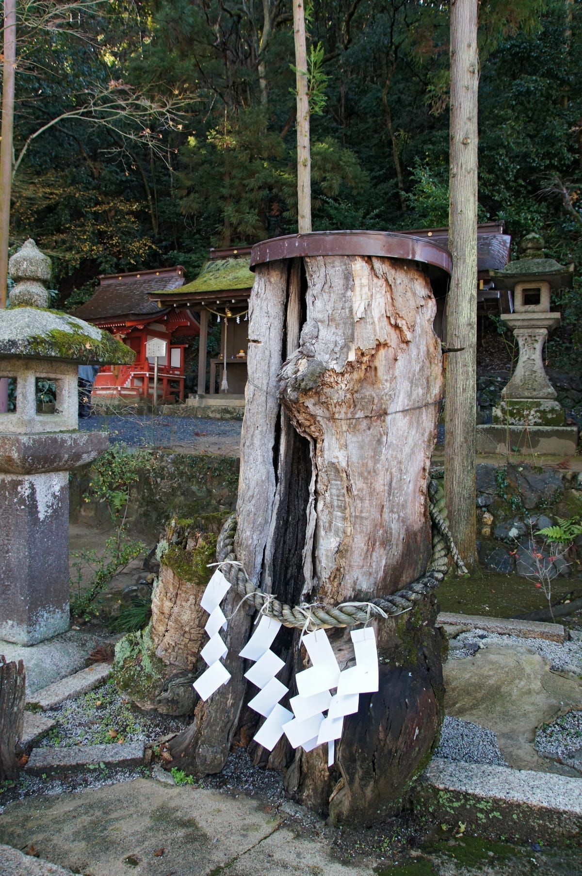 松尾大社 松尾祭2026｜桂川を船で渡る七基の神輿、還幸祭は5月17日