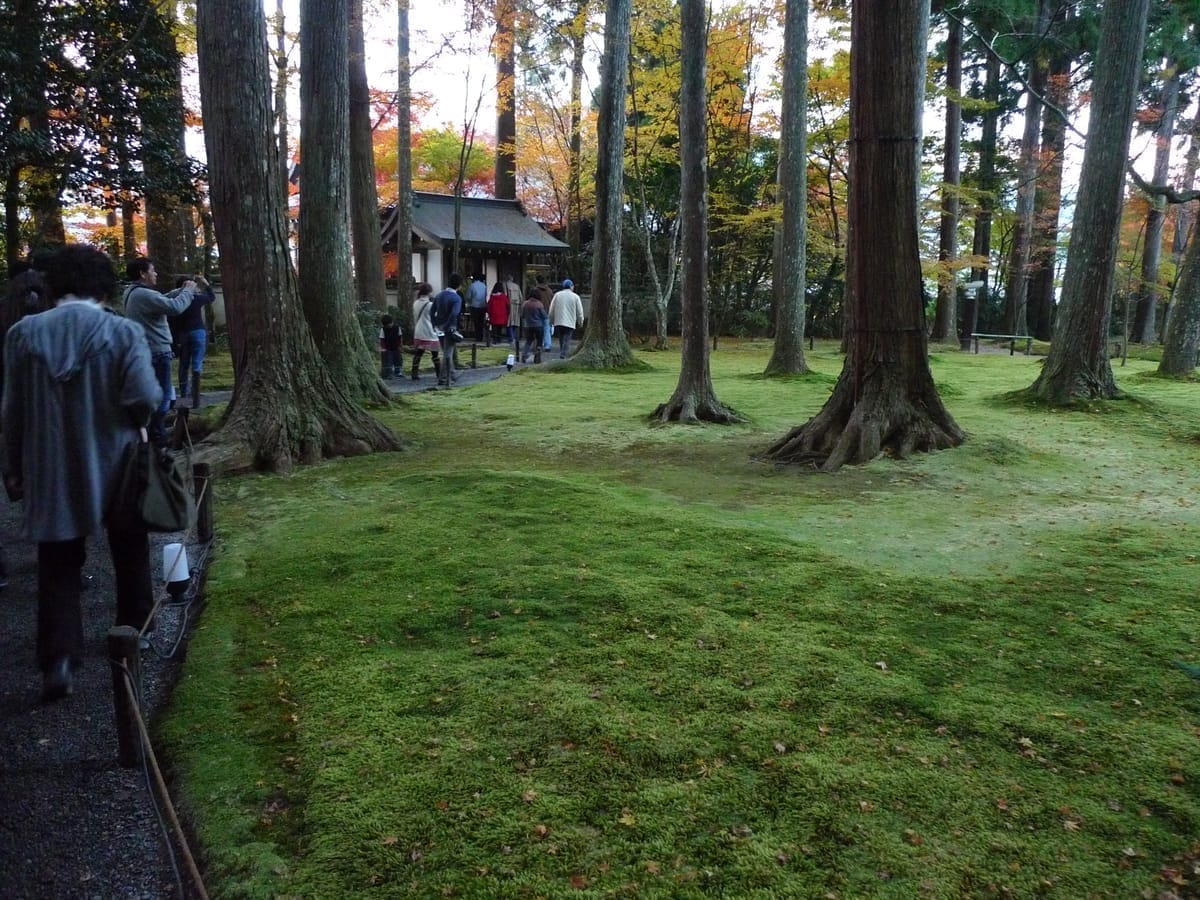 三千院（京都大原）夏の限定御朱印2026──苔庭のわらべ地蔵と、梅雨に来るべき理由
